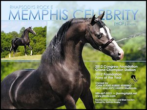 Memphis Celebrity
